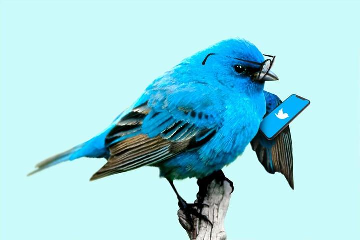 Twitter'a para kazanma özelliği geliyor: Bahşiş kutusu