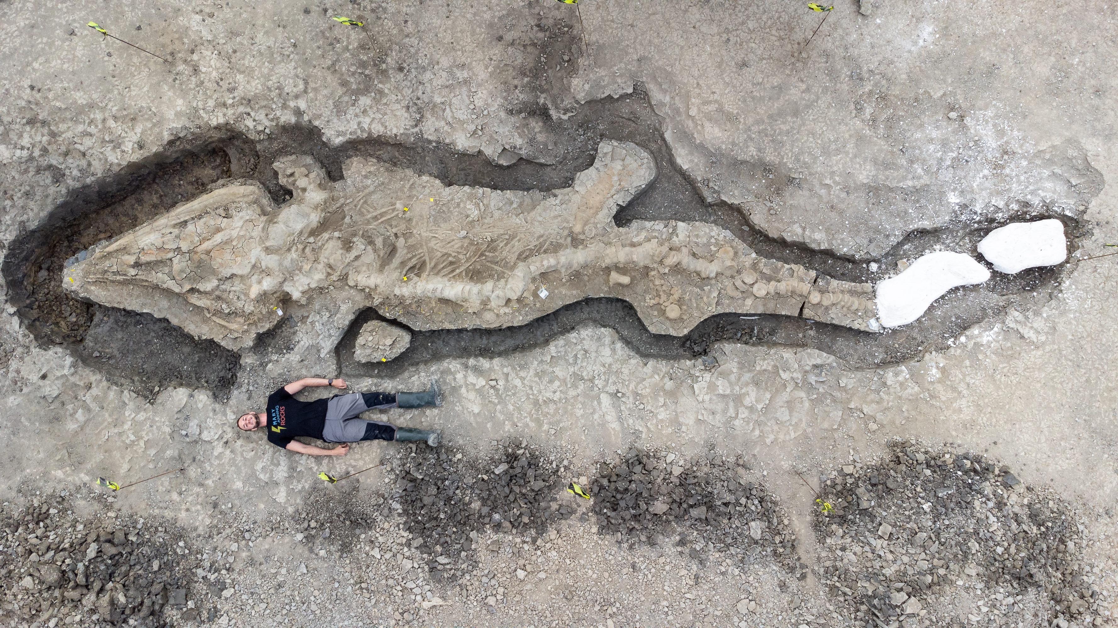 Нашли доисторический замороженную девушку 40 миллионов. Нашли останки драконов. Гигантский скелет откопали. Самая большая окаменелость морской.