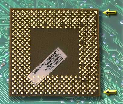 Amatörlerin ilacı: Speed Strip AMD OC bantı