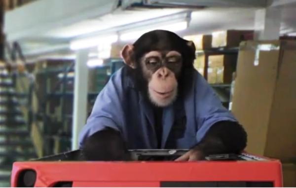 Mushkin: Maymunlar bile bellek güncellemesi yapabilir! (video)