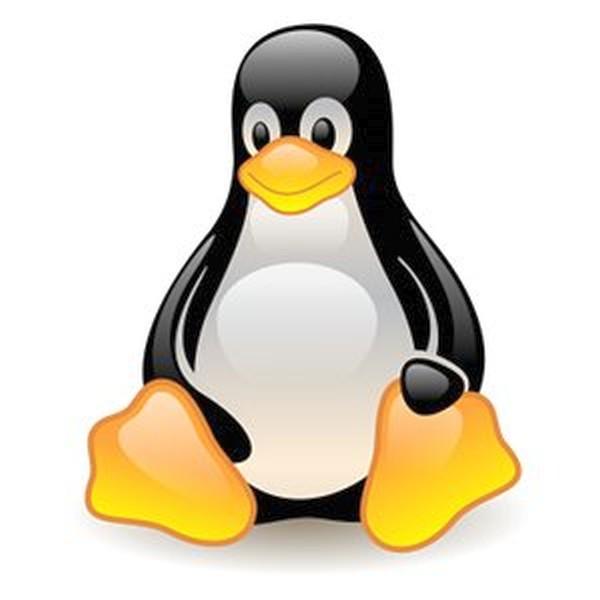 Linux işletim sistemi çekirdeği 21. yaşını kutluyor