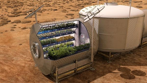 Astronotlar uzayda yetiştirilen sebzeleri ilk kez yemeye hazırlanıyorlar