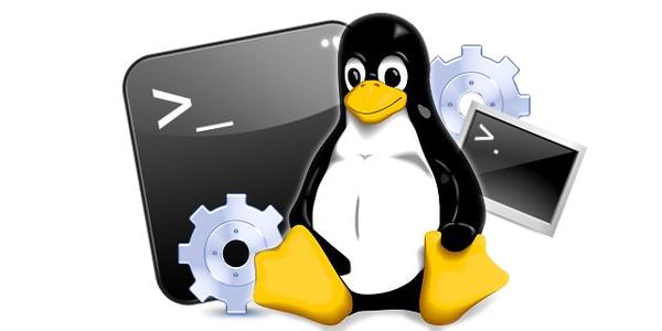 Linux 24 yılı geride bıraktı