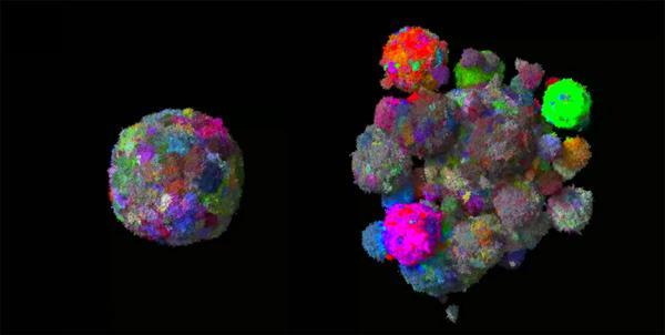 Renkli 3D kanser modellemesi tümörün nasıl büyüdüğü hakkında bilgi veriyor