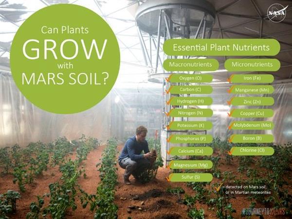 NASA, Mars'ta bitki yetiştirilebileceğini doğruladı
