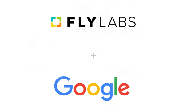 Google, Fly Labs'ı satın aldı