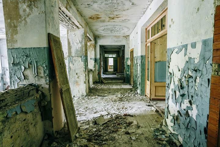 Çernobil’in kazadan 30 yıl sonraki hali Yandex’te