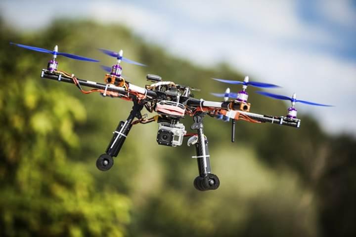 Dronelar, nesli tükenmek üzere olan bitkileri bulmak amacıyla kullanılıyor