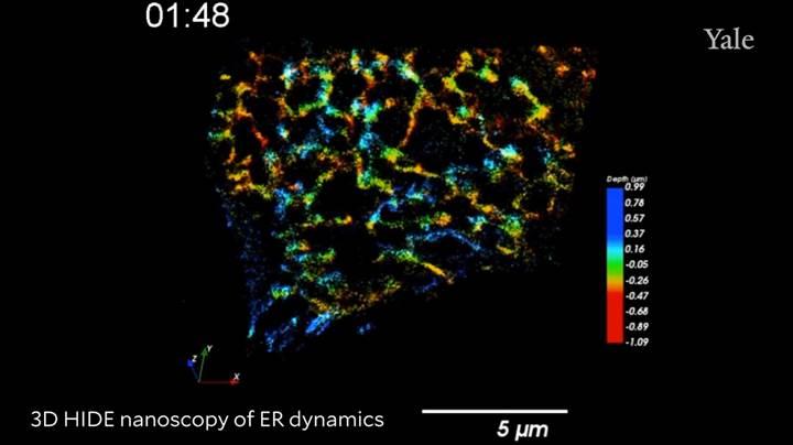 Mikroskobik hücre görüntüleri daha uzun süre incelenebilecek