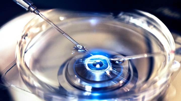 3 ebeveynli embriyo geliştiren doktor FDA tarafından uyarıldı