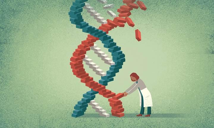 CRISPR ile yapılan önemli yenilikler ve yöntemin dezavantajları