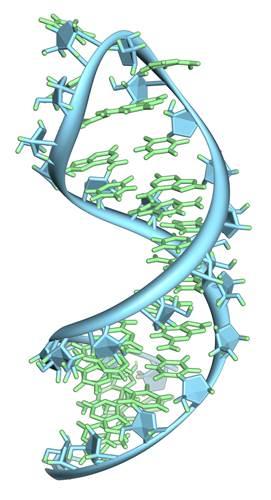 RNA düzenlemesiyle ALS tedavisi mümkün