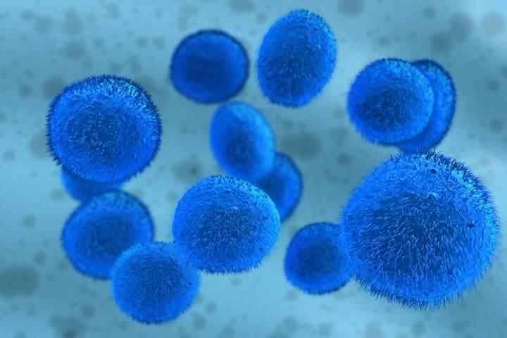Kök hücre tedavisinde polimer jel kullanımı başarı oranını artırabilir