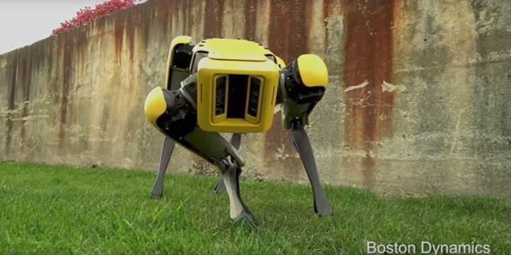 Boston Dynamics'in robot köpeği artık eskisi kadar ürkütücü değil