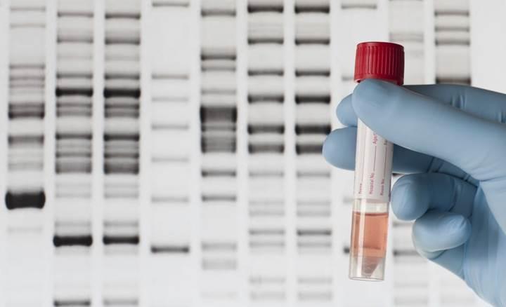 Estonya, vatandaşlarına ücretsiz genetik test hizmeti sunacak