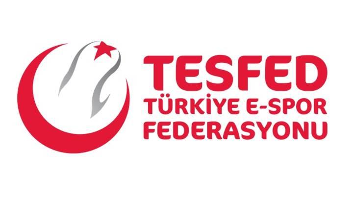 Türkiye E-Spor Federasyonu’nun yönetim kurulunda kimler var?