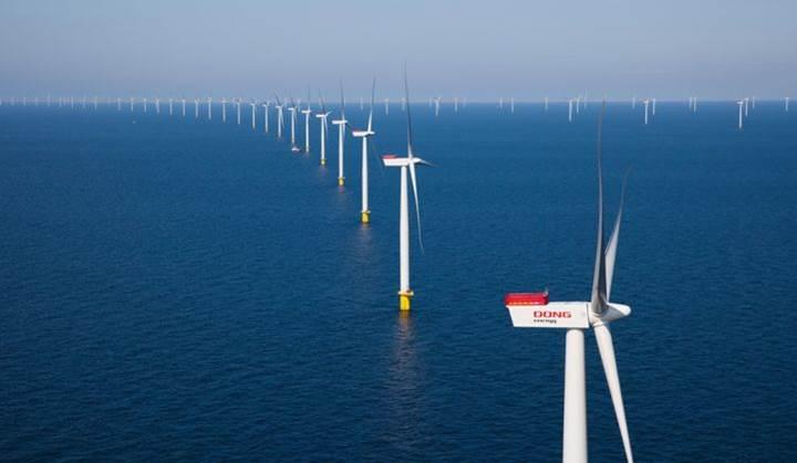 Açık deniz rüzgâr çiftlikleri düşündüğümüz kadar çevreci mi?
