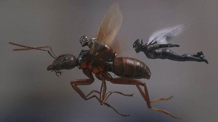 Ant-Man and The Wasp, gişede 500 milyon doları geride bıraktı