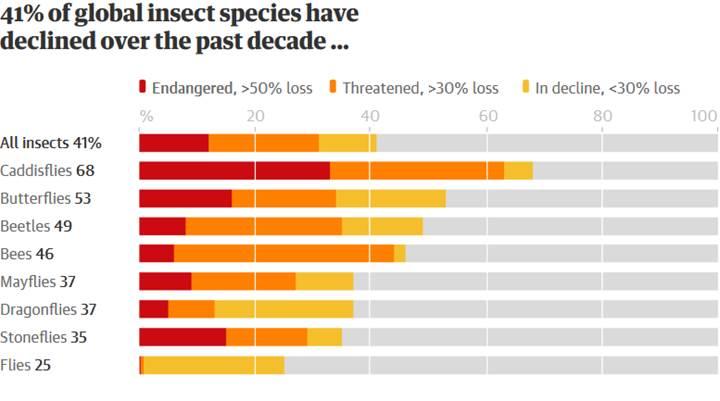 Bilim insanlarına göre böcekler, 100 yıl içinde yok olabilir