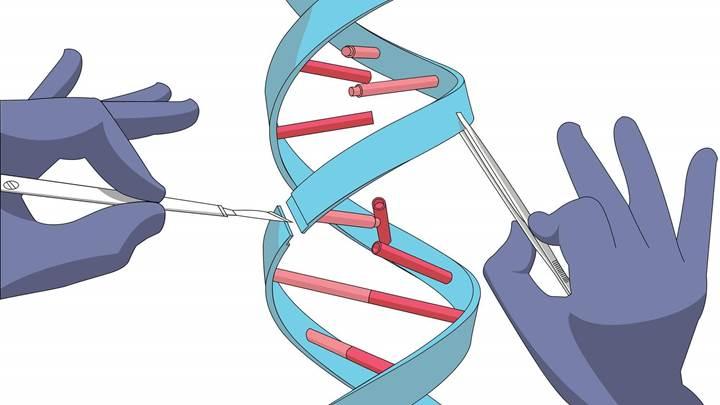 Çin’de CRISPR kullanarak bebeklerin zekasını arttıran bilim adamı gözaltına alındı