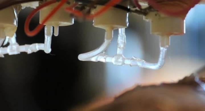 3D biyo yazıcılar yaraları tedavi etmekte kullanılacak