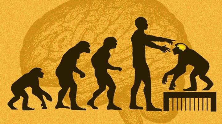 Çinli bilim insanları, maymunlara insan beyni geni nakletti