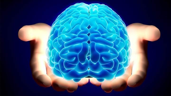 Beyin ile vücut arasındaki nöronal bağlantı aydınlatılıyor