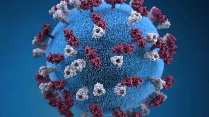 Aşı reddi, Amerika'da son 25 yılın en büyük kızamık salgınına yol açtı
