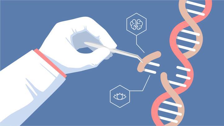 Çin’den CRISPR gen düzenleme yöntemine bir alternatif geldi