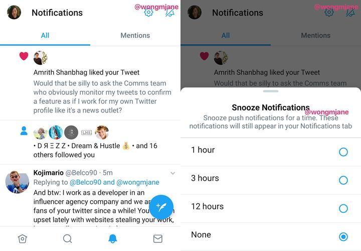 Twitter, bildirimleri dondurmanıza izin verecek