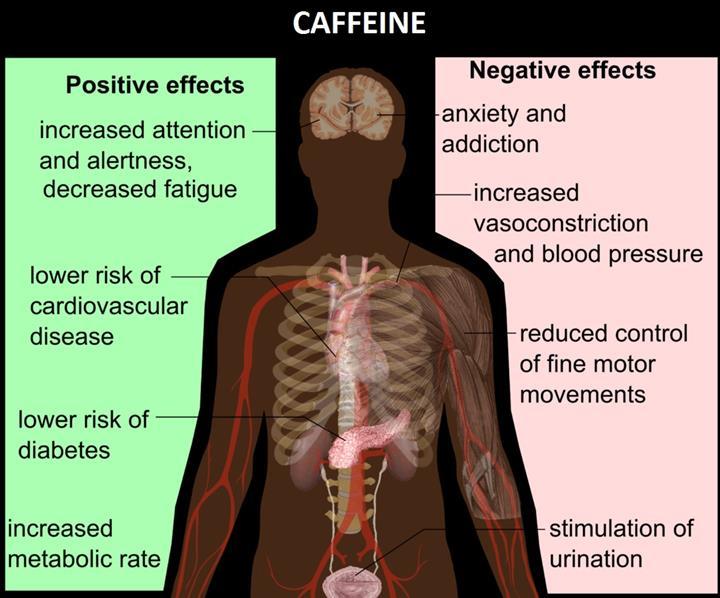 Araştırmalara göre kahve tüketimi obezite riskini azaltabiliyor