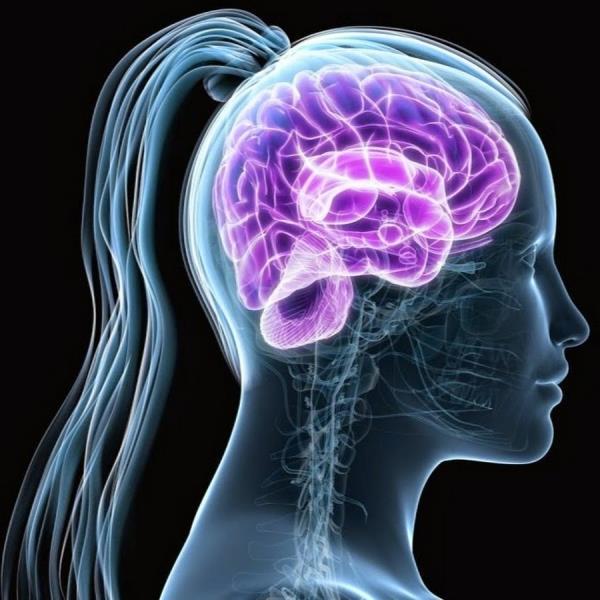 Araştırmacılar, beyindeki bilinmeyenleri çözebilmek için yeni yöntem geliştirdiler