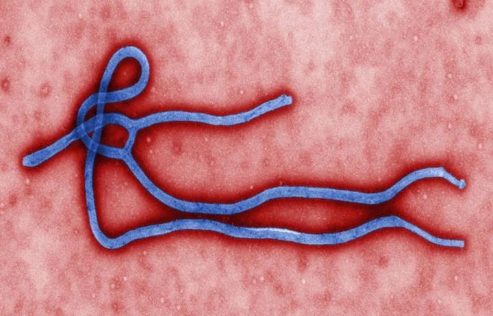 Tarihteki ilk Ebola aşısı onay aldı