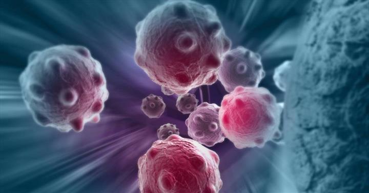 Bakır tabanlı nano malzeme ile kanserli hücreler yok edildi