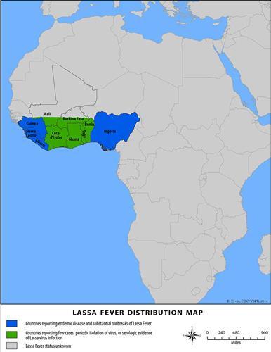Nijerya’da Lassa virüsü yayılıyor