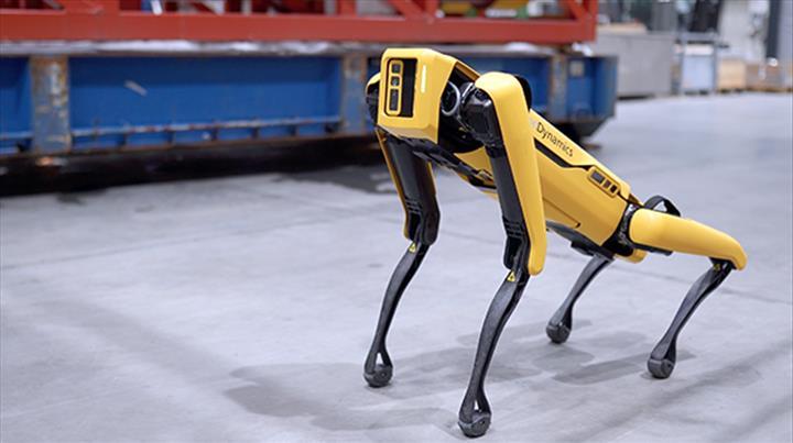Dört bacaklı robot Spot, yakında petrol rafinerilerinde göreve başlayacak