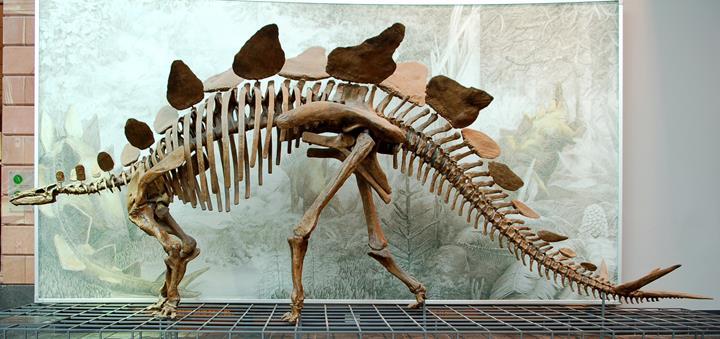 Fırtına sayesinde 130 milyon yıllık dinozor ayak izi ortaya çıktı