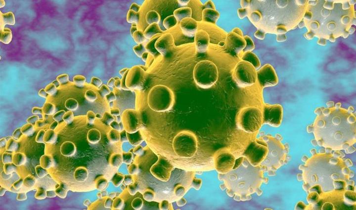 Koronavirüs ülkemizde: 1 vatandaşta testler pozitif çıktı
