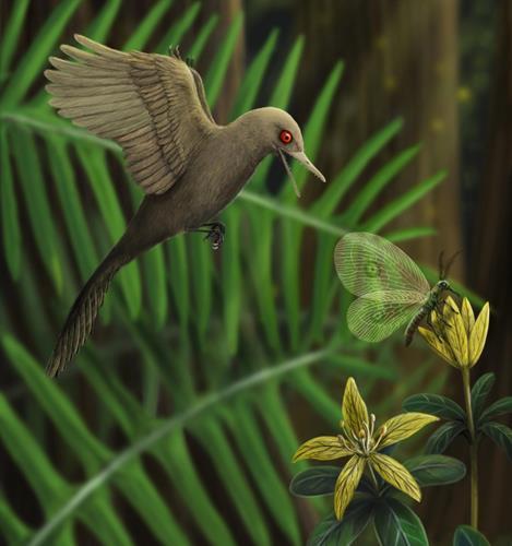 100 milyon yıllık 'kuşumsu dinozor' kafası, kehribar içinde korunmuş hâlde bulundu