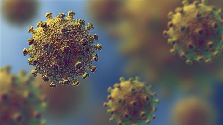 Koronavirüs havada yarım saat asılı kalabiliyor 