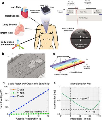 Kalp ve akciğer seslerini monitörize eden küçük sensör geliştirildi