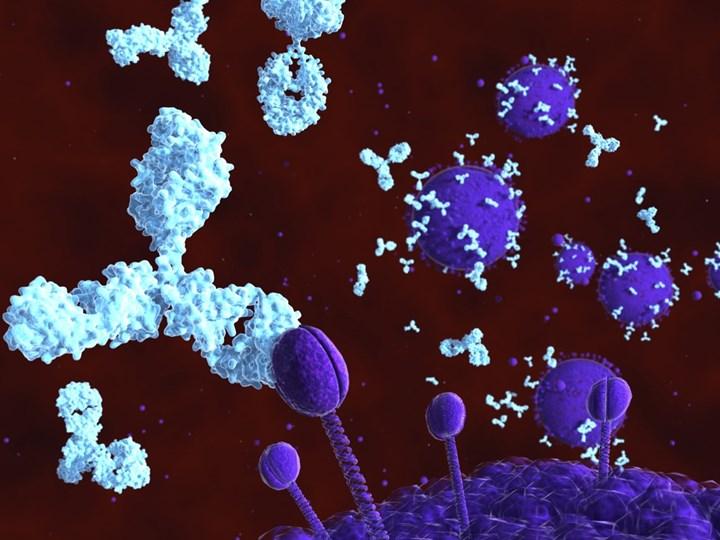 Almanya’dan koronavirüse karşı yüksek etkili antikor haberi geldi