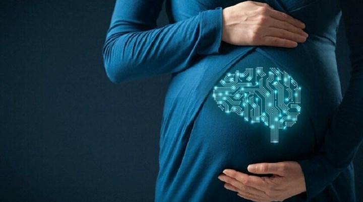 Koç Üniversitesi, ana rahmindeki bebeğin hastalıklarını tespit eden yapay zekâ yazılımı geliştirdi