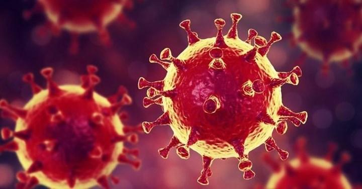 Coronavirüs sebebiyle hayatını kaybeden kişi sayısı 1 milyonu aştı