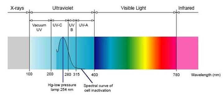 Ultraviyole (UV) ışınlarının virüs ve bakteriler üzerine etkisi