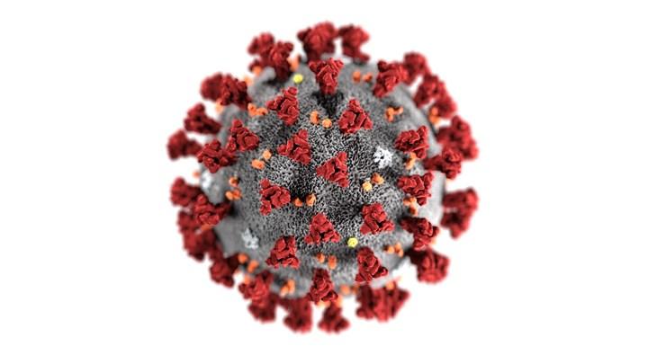 Mutasyon gözlenen varyant koronavirüsün yeni adı belli oldu