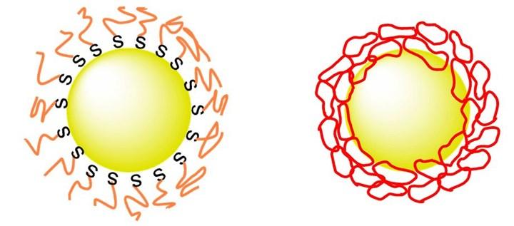 Kanser tedavisinde kullanılabilecek altın nano parçacıklar geliştirildi