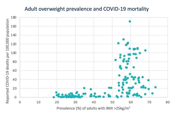 Obezite koronavirüs için majör risk faktörlerinden birisi olabilir