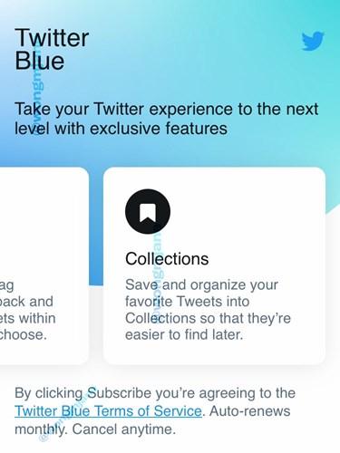 Twitter'ın 2.99 dolarlık Twitter Blue aylık aboneliği hakkında yeni detaylar ortaya çıktı