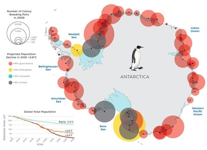 2100 yılına kadar imparator penguenlerinin %98’i yok olabilir